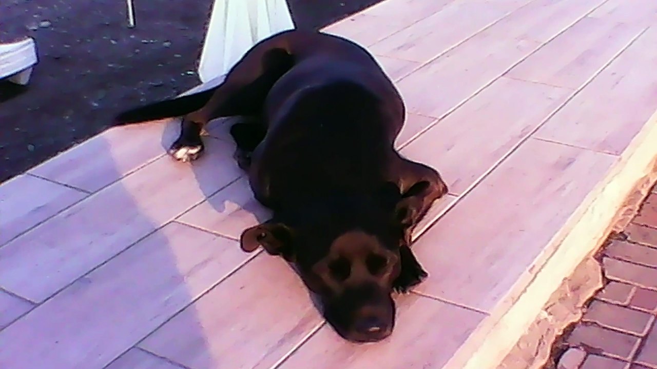 VID_20230222_205722