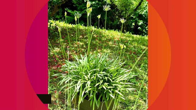 MAISON DE STARS Mercotte fière de sa bâtisse de 600m2 sur trois niveaux près de Chambéry : Il y a de quoi s'y perdre