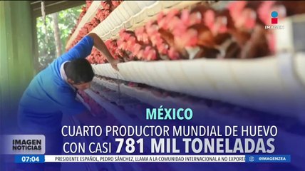 Huevo, el alimento por excelencia de los mexicanos