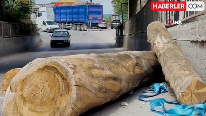 Tır Alt Geçitten Geçerken Yüklü Tomrukları Düşürdü