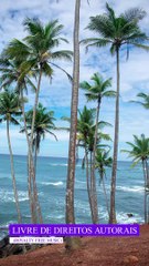 ✅Música ambiente alegre trazendo alegria,  paz e bem-estar #Shorts