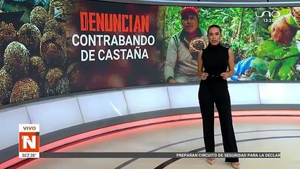 70% de la economía depende de la castaña, señala Asprogoal