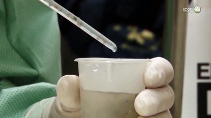 El "súper mosco" del dengue, imparable; la mayoría de casos en Jalisco son graves