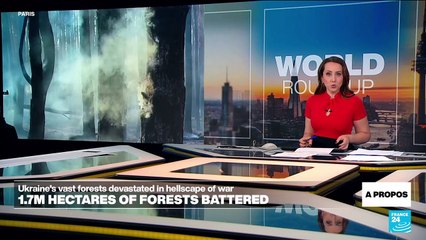 Ukraine's vast forests devastated in hellscape of war