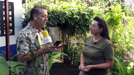 Pase en vivo - Spirogyra: un pulmón verde en el centro de San José