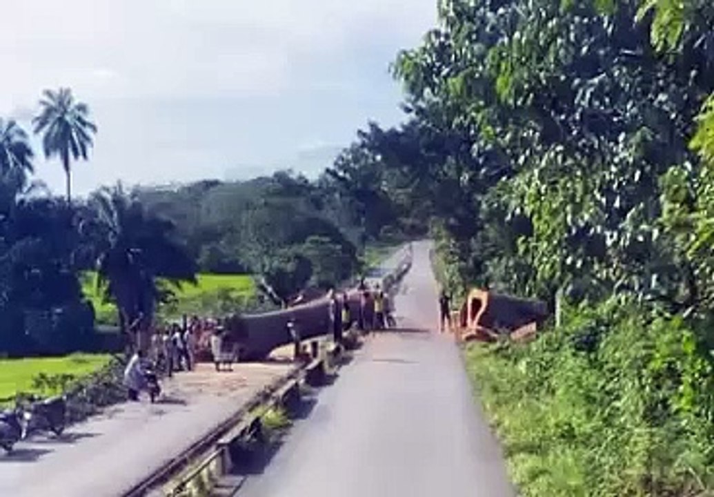 Kissidougou un arbre tombe à la rentrée de la ville