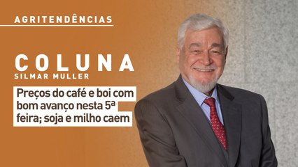 Preços do café e boi com bom avanço nesta 5ª feira; soja e milho caem