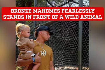 Bronze Mahomes fearlessly stands his ground showcasing his bravery