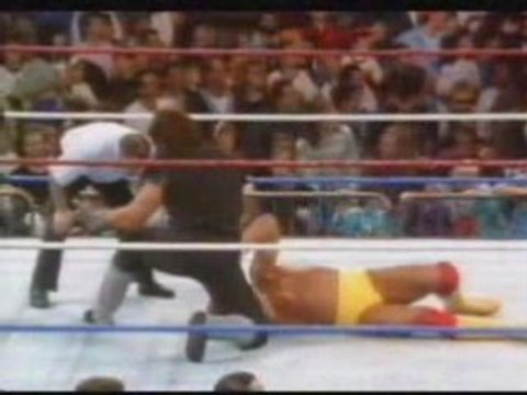 Survivor Series 1991 - Hulk Hogan Vs The Undertaker