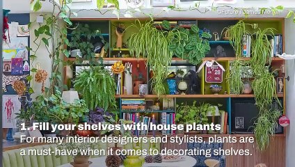 Tips On: Using Plants To Decorating Your Home