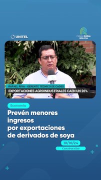 Prevén menores ingresos por exportaciones de derivados de soya
