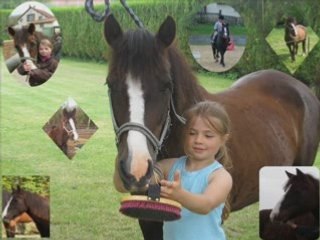 Libéllule et moi (montage)