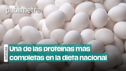 Hoy se celebra el Día Mundial del Huevo