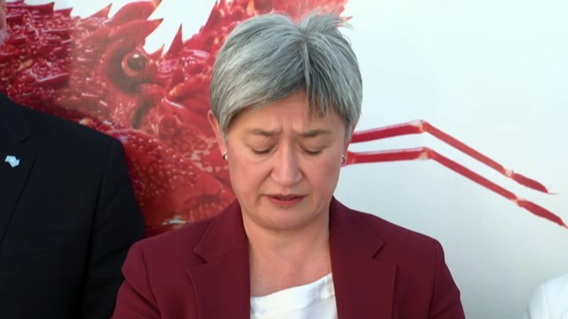 Australians urged to leave Lebanon with last repatriation flight on Sunday