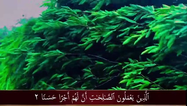 Very calming recitation of Surah Al- Kahf (the Cave) سورة الكهف ⋮ Al-Qur'an TV TV