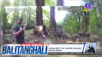 Nasa 100 raccoon, pumalibot sa isang bahay; residente, hindi na makalabas | Balitanghali