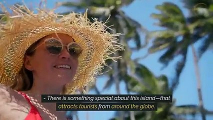 What To Know Before Booking A Horseback Riding Tour In Aruba