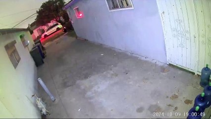 egarding post about a street doughnut hello i was taking a break and i heard i believe a porch doing street doughnut but i didn't able to catch them but i got the audio from my camera but please be aware and look out for these culprit