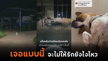 กลับบ้านดึกทีไร ก็เจอแบบนี้หน้าบ้านตลอด โอ๊ย.. จะไม่ให้รักยังไงไหว