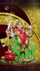 Glimpses of Live Garba 2024