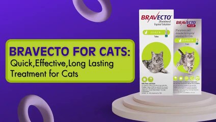 Bravecto for Cats: Quick,Effective,Long Lasting Treatment for Cats