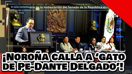 ¡VE! ¡Noroña pone en su lugar a Clemente ‘el gato de Pe-dante Delgado’ por atacar a la 4T!