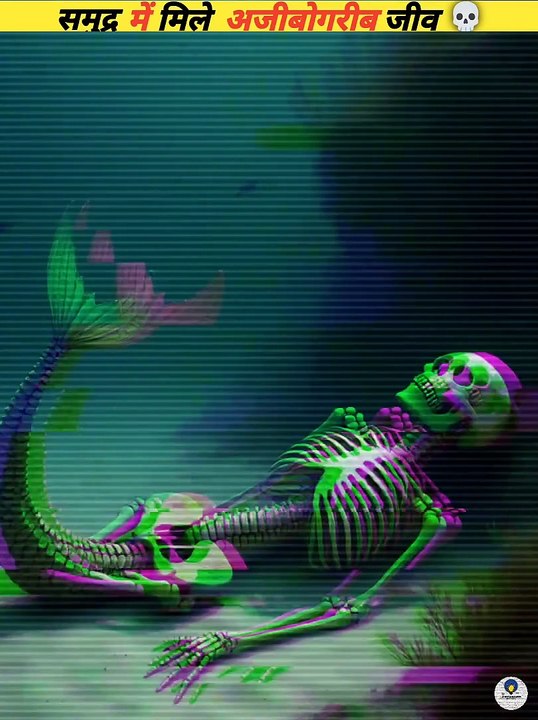 sea ​​creatures that should never be mixed with snakes #viral