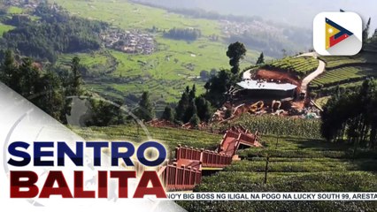 Tea farms sa Yunnan, China, may kakaibang mga paandar