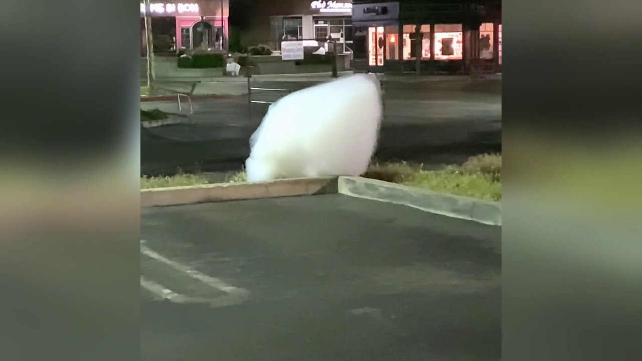 Testigos de lo paranormal ver online