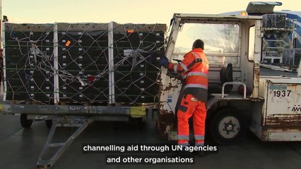 Fact check: Was Jordan Bardella right to claim the EU indirectly funded Hamas?