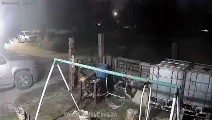 Running dog appears to morph into human in creepy video