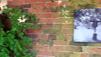 WHAT'S ON: Eye of the Beholder exhibition