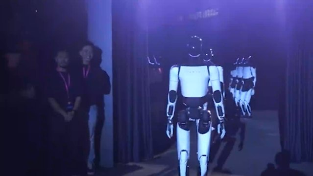 Optimus Evento Tesla