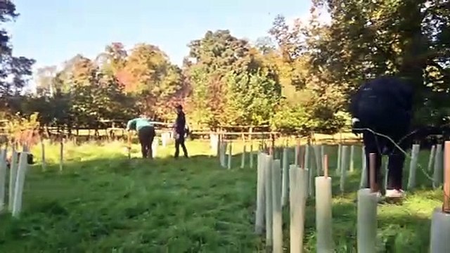 Woodhill Park in Shropshire once hosted guests such as Jackie Kennedy, but now has new owners and hopes to become a centre for wellbeing. Trees were being planted today by veterans.