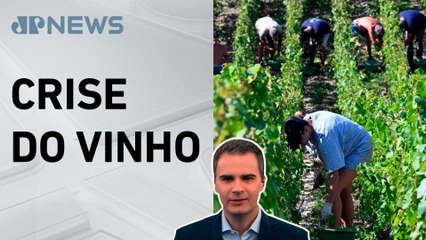 França gastará milhões para destruir vinhedos; Bruno Meyer comenta
