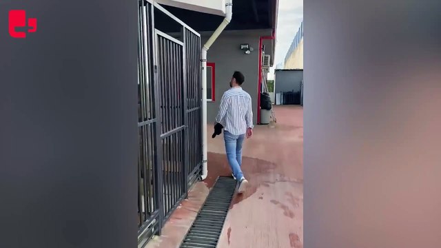 AKP'li Gebze Belediyesi'nde hayvan katliamı: Katledilmiş onlarca köpek ve kedi, çöp poşetlerinde bulundu