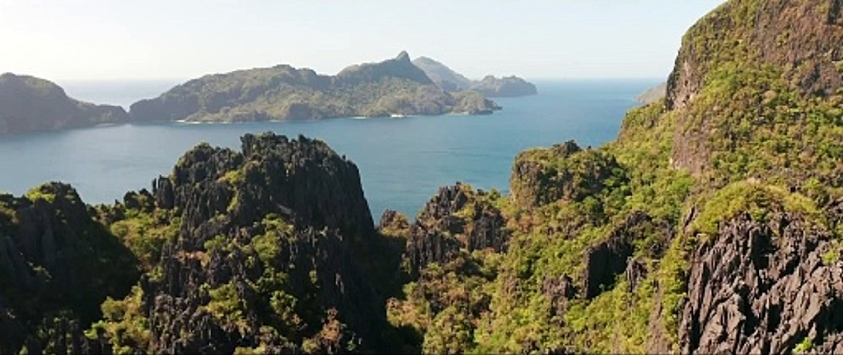 Ape X Mecha Ape: New World Order Trailer DF