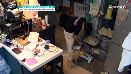 과도한 책임감이 만든 금쪽남매 자발성 저하(?) 아빠의 강박이 만든 최악의 결과