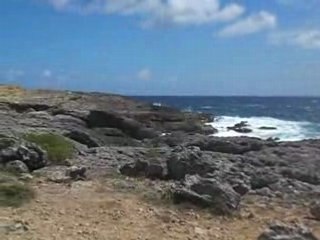 Guadeloupe - 08/04/2008 - La pointe des châteaux