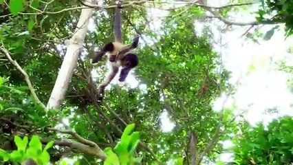 Roma and Diana learn the alphabet _ ABC song (1)