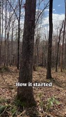 Transformation: Creating Our Dream Outdoor Oasis ✨