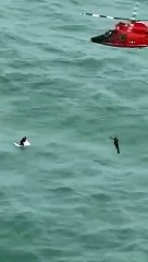 La tripulación de un helicóptero  rescató a un hombre aferrado a una hielera aproximadamente a 30 millas.