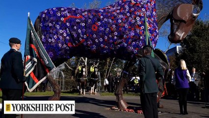 Unveiling of purple poppy coat on the War Horse in Featherstone, Wakefield