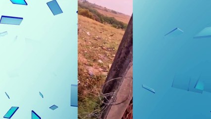 Pai agride guarda municipal com tijolo na porta de escola em Piracicaba