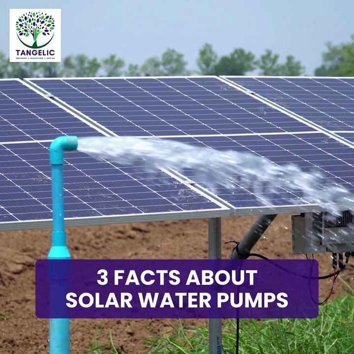 Empowering Communities with Solar-Powered Water Solutions