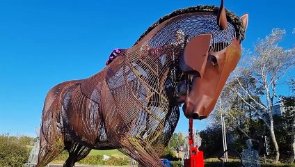 Featherstone War Horse Memorial Dons Purple Poppy Coat 🐴