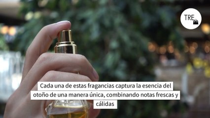 Cinco nuevos perfumes otoñales que huelen a limpio y a la vez reconfortan