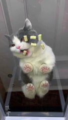 I am Hungry, Let me finish my Food