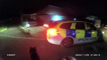 Watch moment police dog finds drug dealer's phone after chase