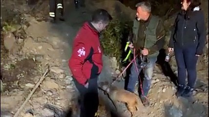 Ecco Bruna, il primo cagnolino liberato dopo 24 ore di scavi dal cunicolo profondo 11 metri